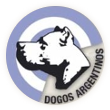 Club del Dogo